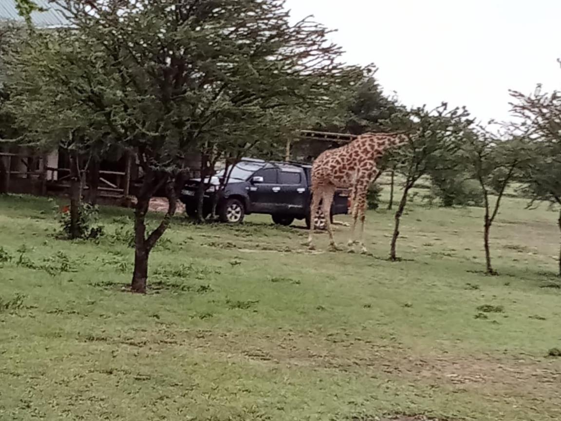 Narasha Homestay - Maasai Mara Talek Eksteriør bilde