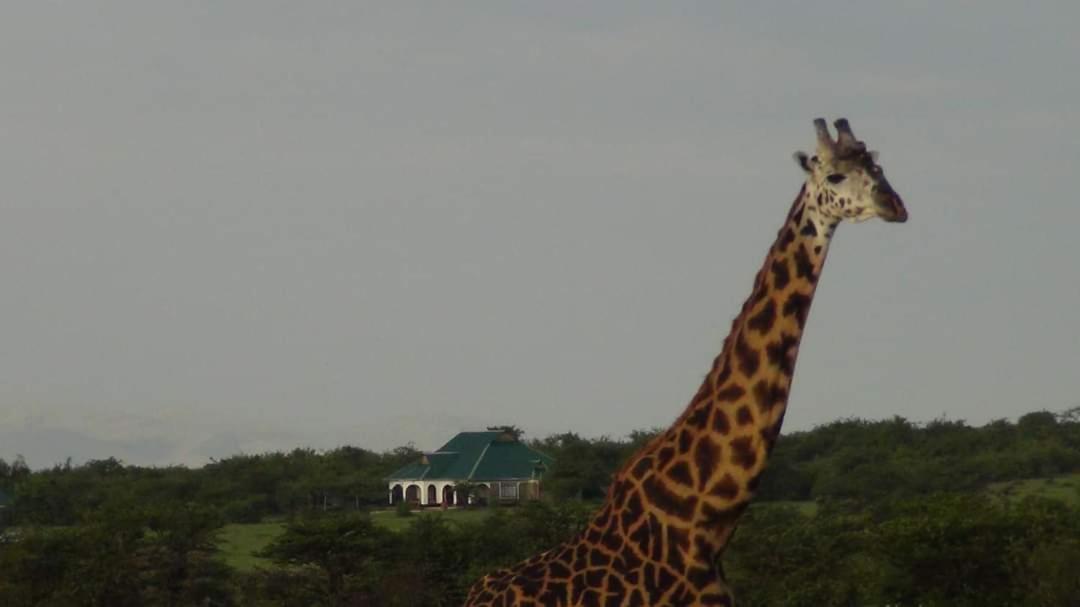Narasha Homestay - Maasai Mara Talek Eksteriør bilde