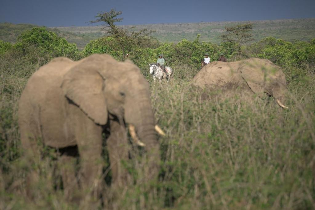 Narasha Homestay - Maasai Mara Talek Eksteriør bilde