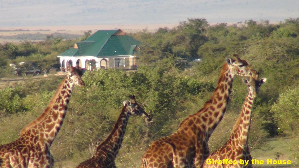 Narasha Homestay - Maasai Mara Talek Eksteriør bilde