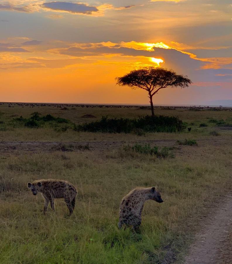 Narasha Homestay - Maasai Mara Talek Eksteriør bilde
